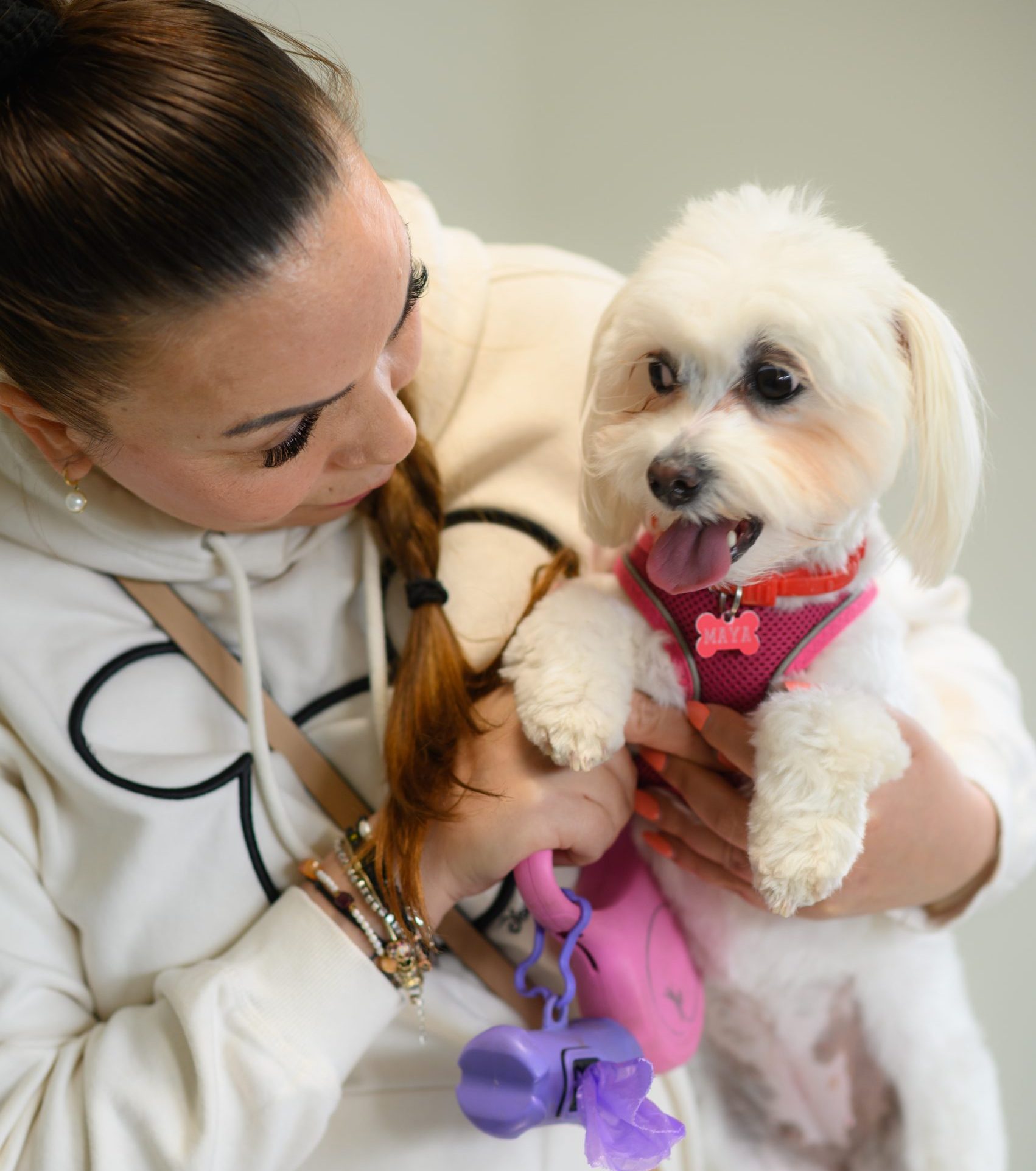 Medic veterinar consultând un câine
