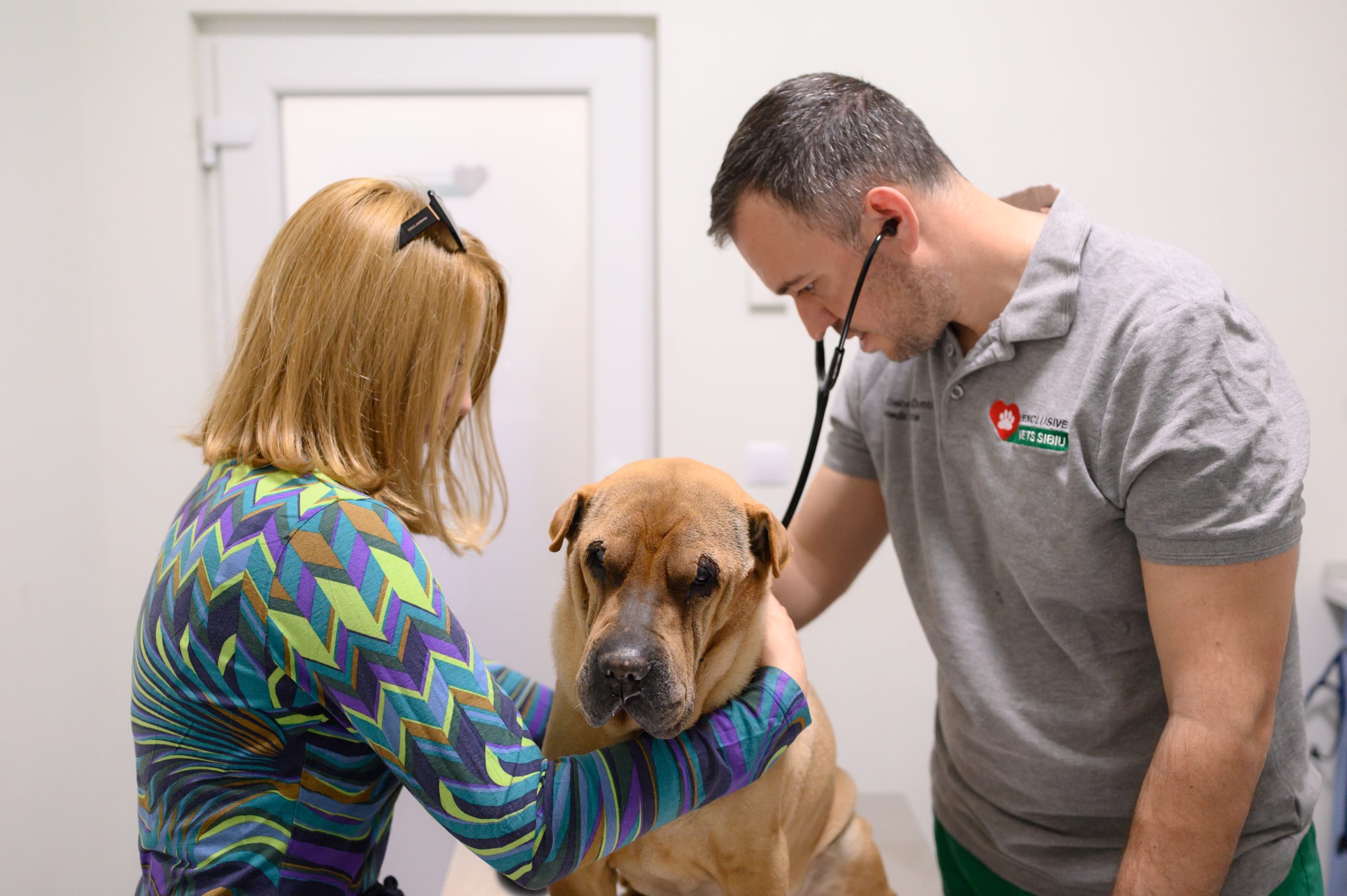 Urgențe veterinare